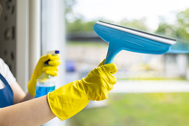 Image of a sparkling clean window view.